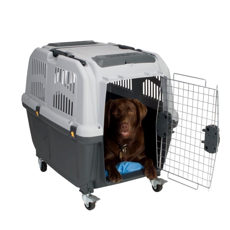 Flybur til medium hund