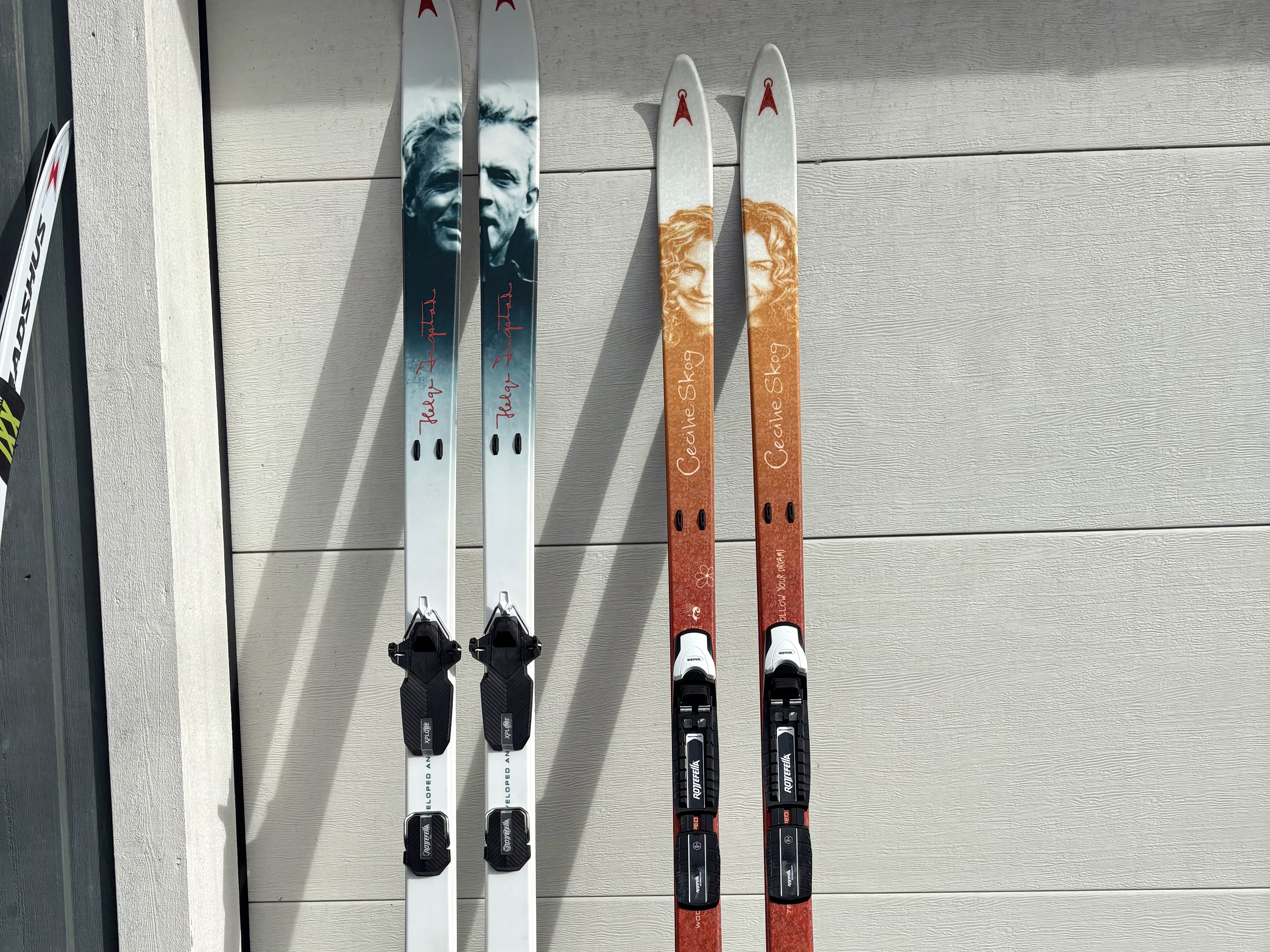 Fjellski