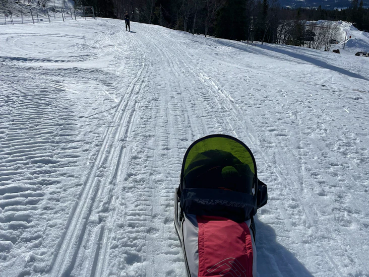 Fjällpulka, barnpulka