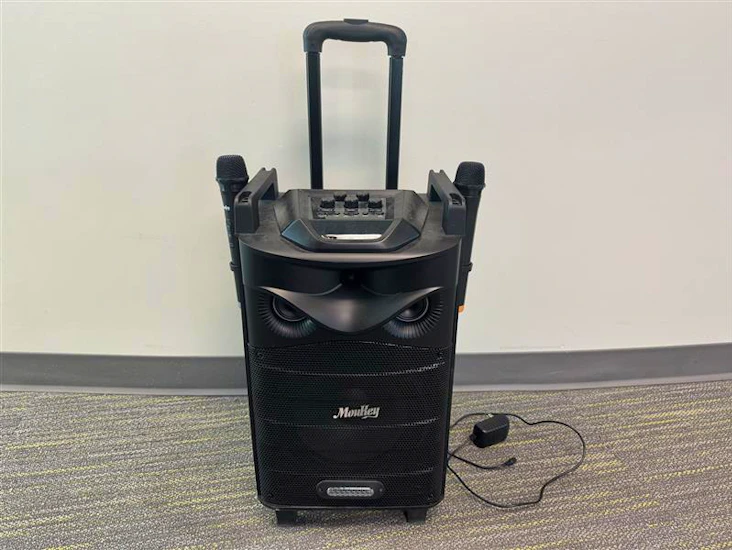 Portable karaoke machine with 2 microphones, bluetooth speaker sound ampifier