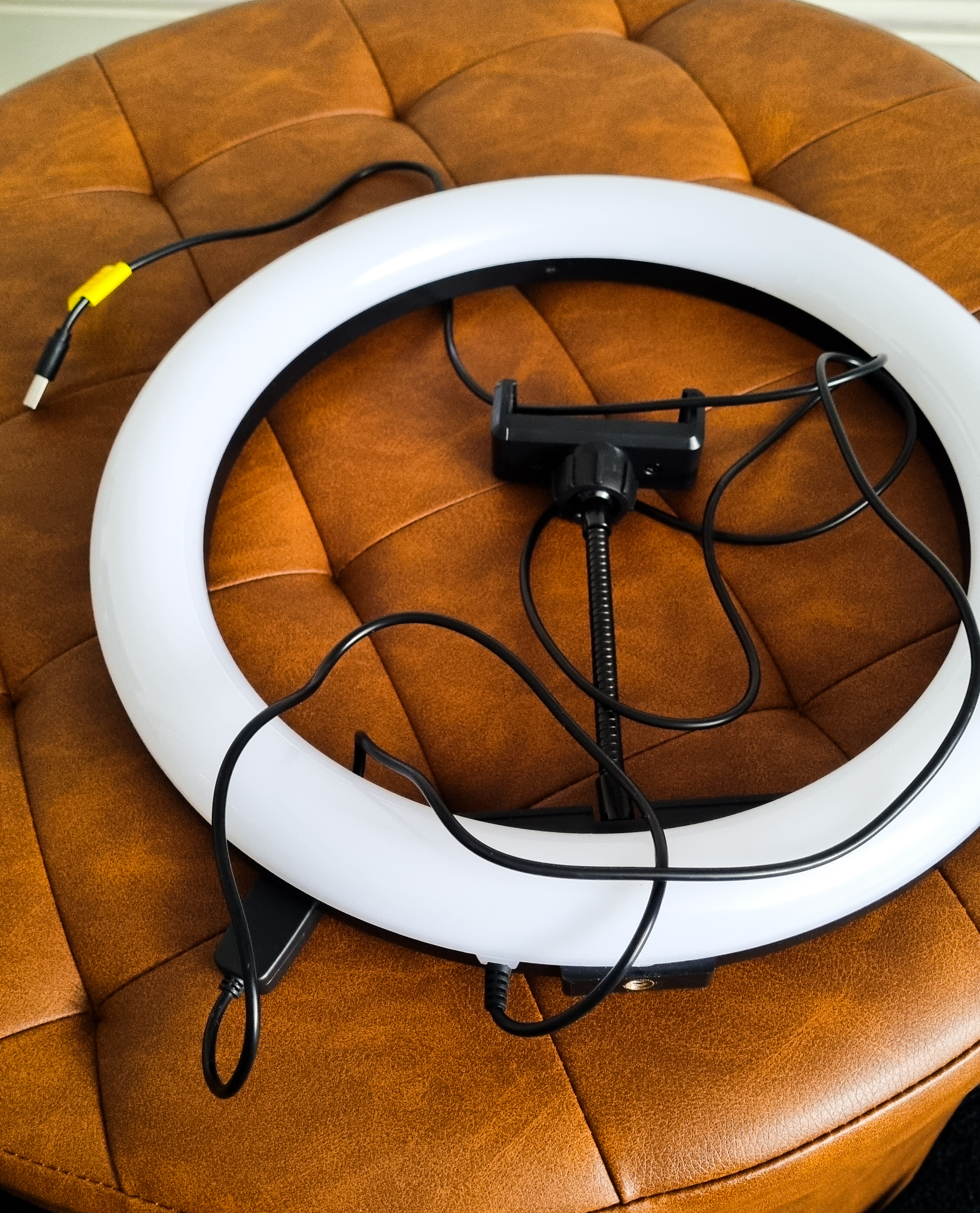 12" ring light with tripod stand & phone holder