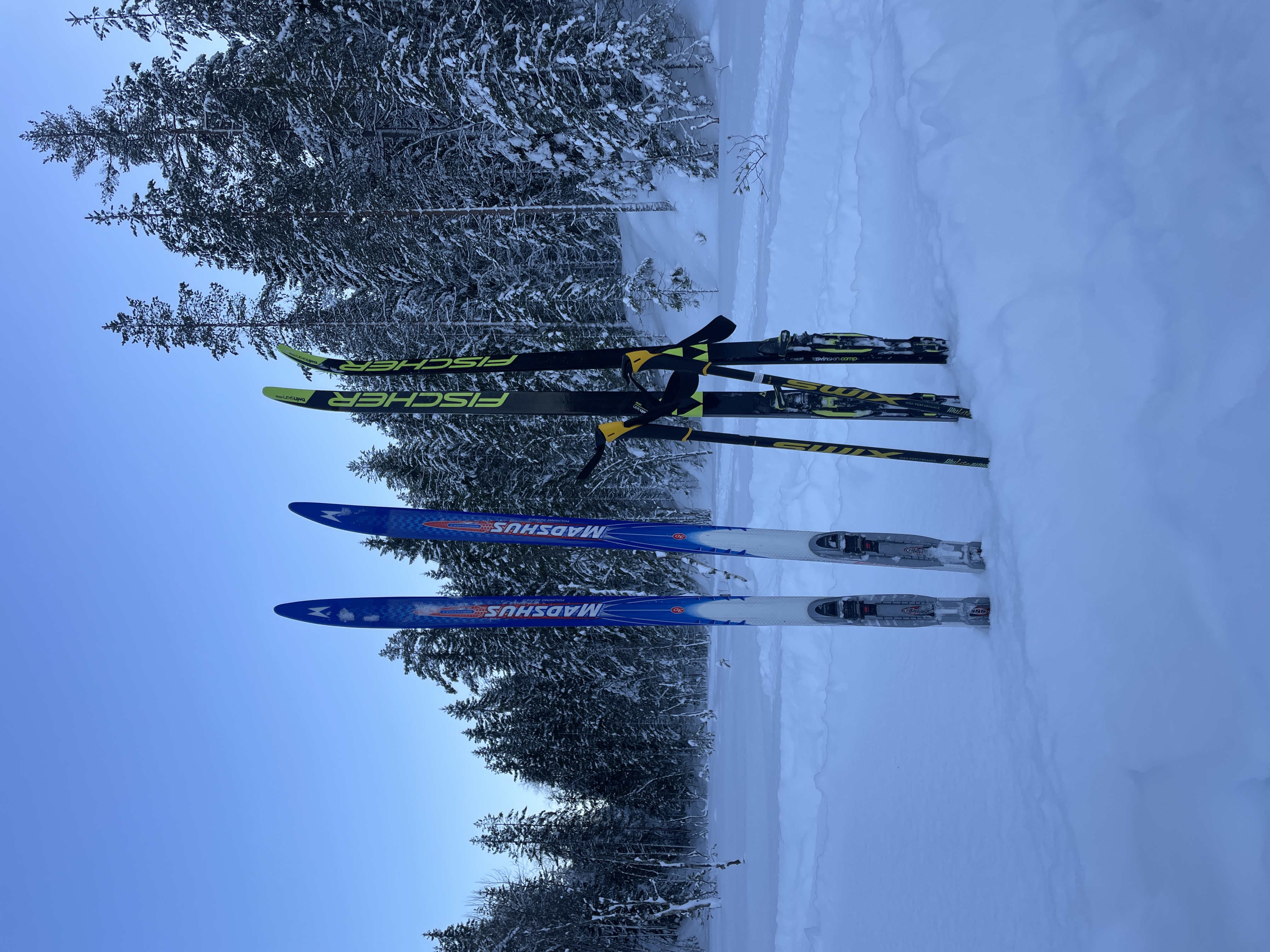 Langrennspakke felleski og sko str. 37/38