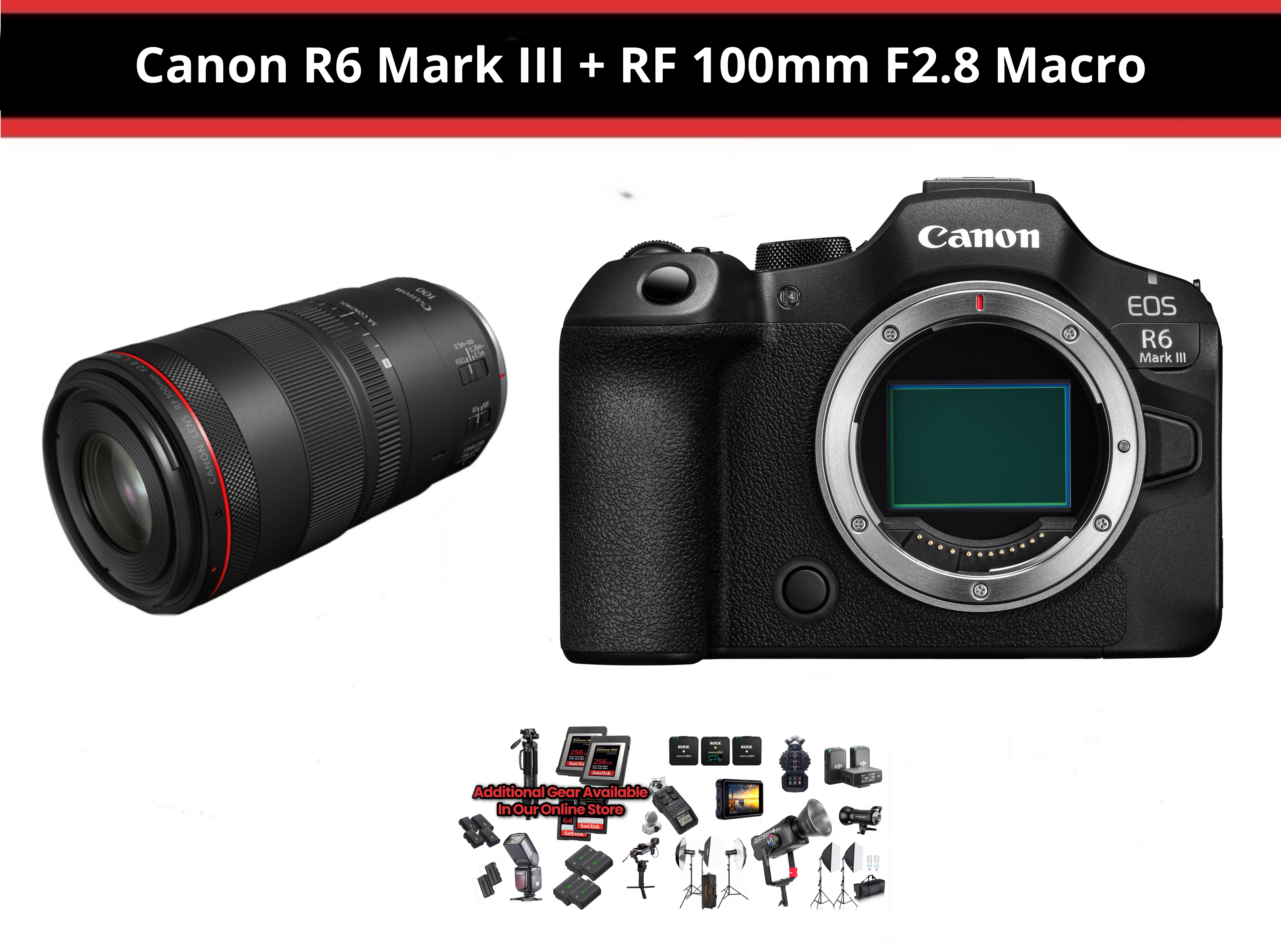 Canon r6 mark iii + rf 100mm f2.8 macro  ( canon eos r6 mark iii - canon r6miii )