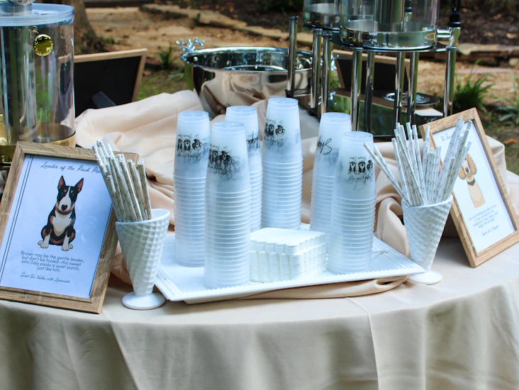 Double drink dispenser rental | beverage server for parties, weddings & events in north georgia