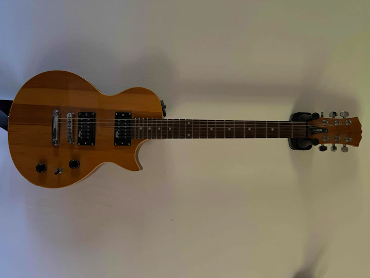 Stagg l250 les paul