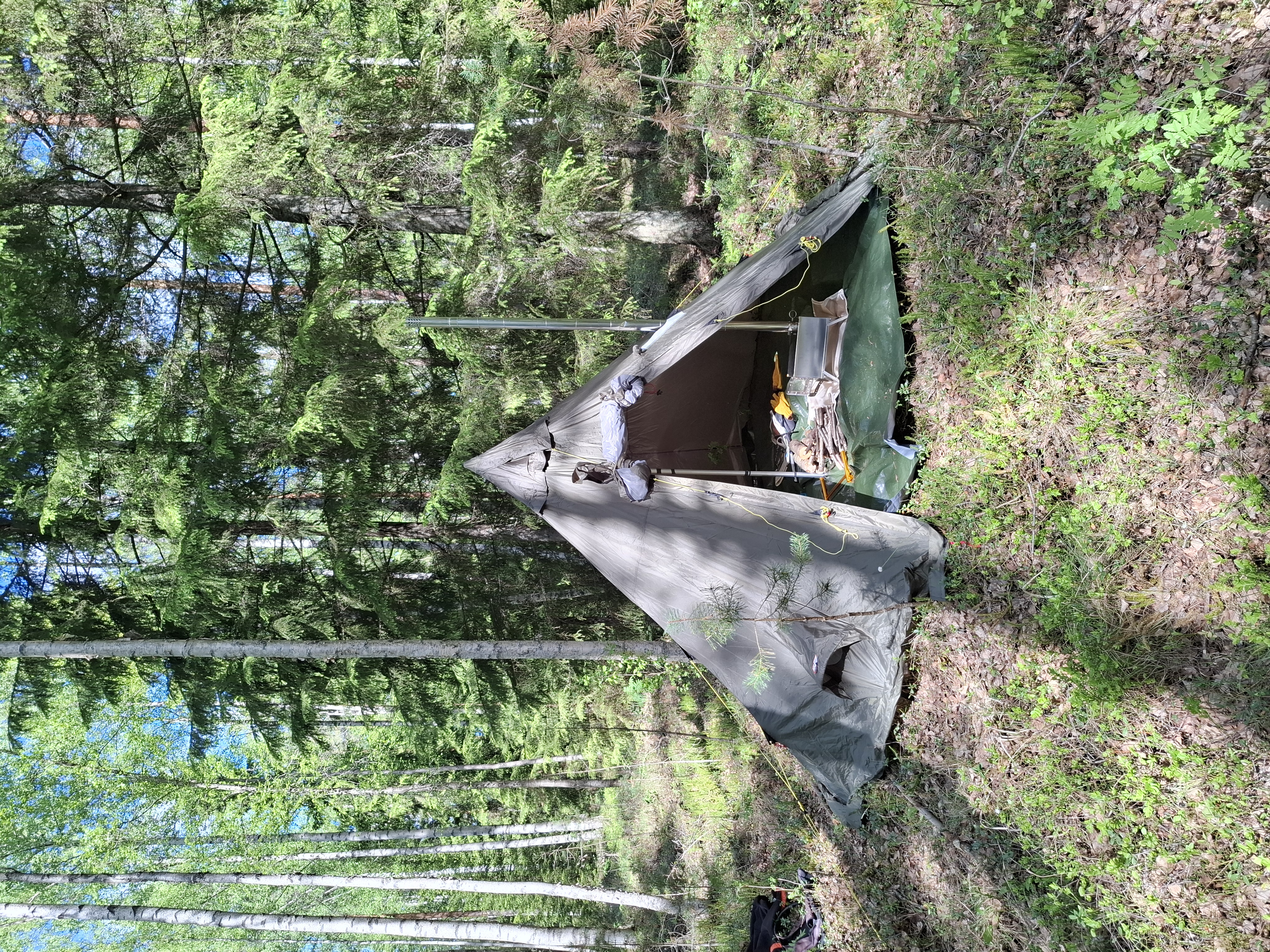 Hellsport pasvik 4-6
