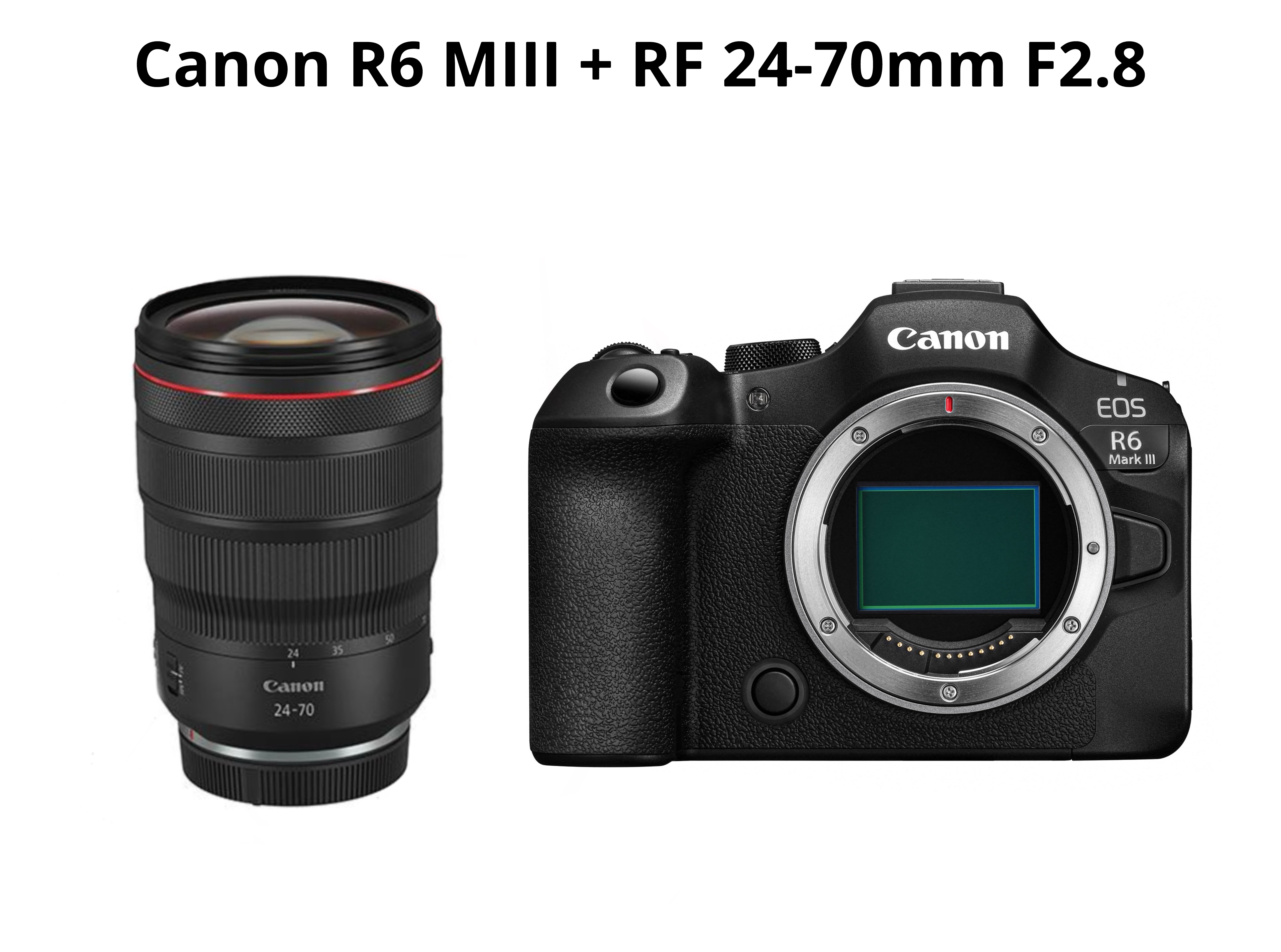 Canon r6 mark iii + rf 24-70mm f2.8 ( canon eos r6 mark iii - canon r6miii )