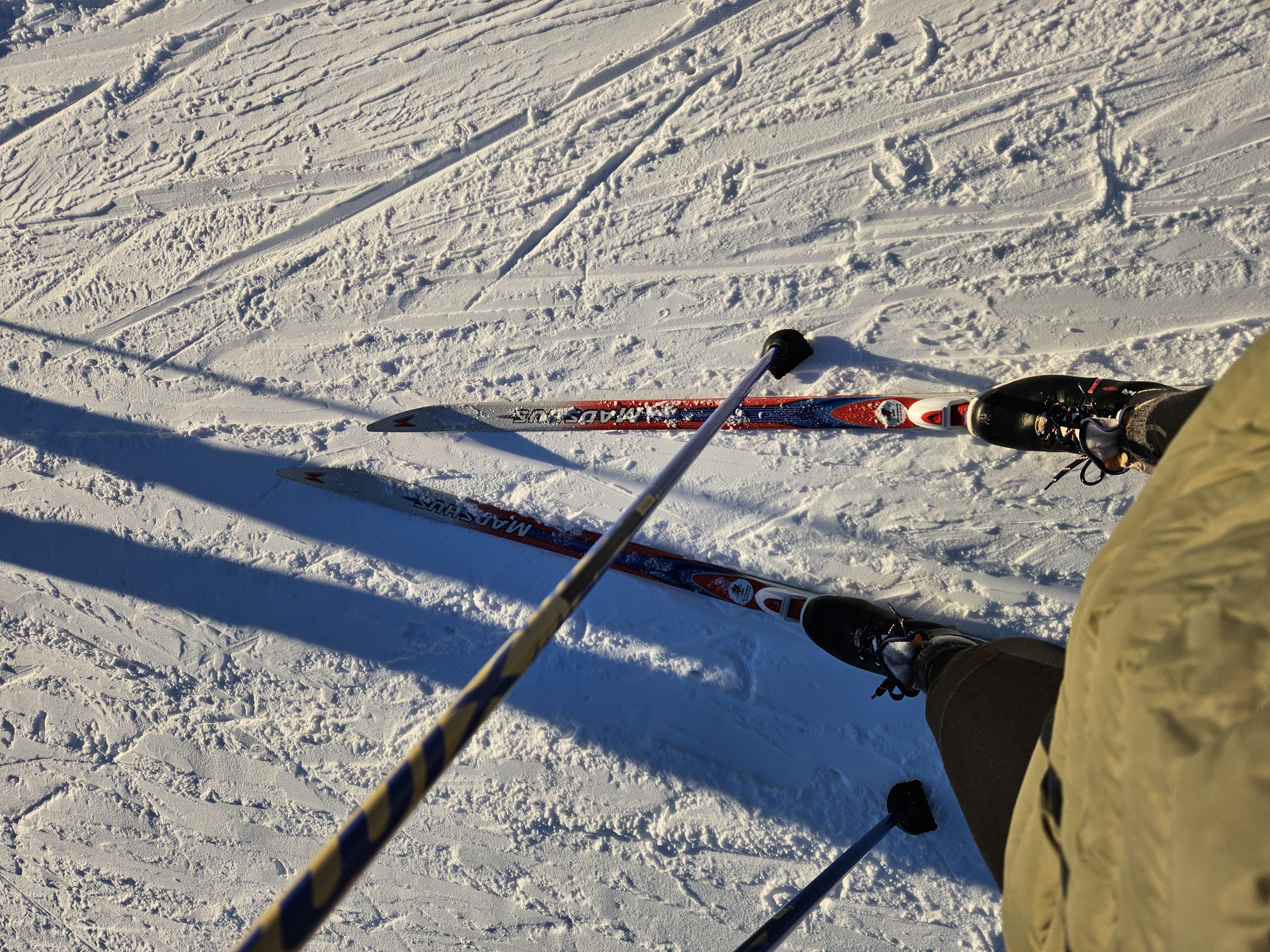 2 par madshus langrennski