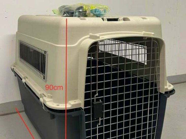 Flygtransportbur trasportbur hund flygbur xxl