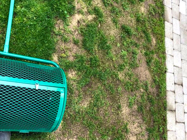 Torv & moss-spridare