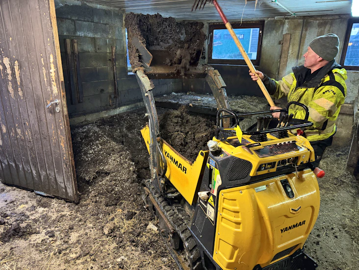 Yanmar minidumper leiges ut.