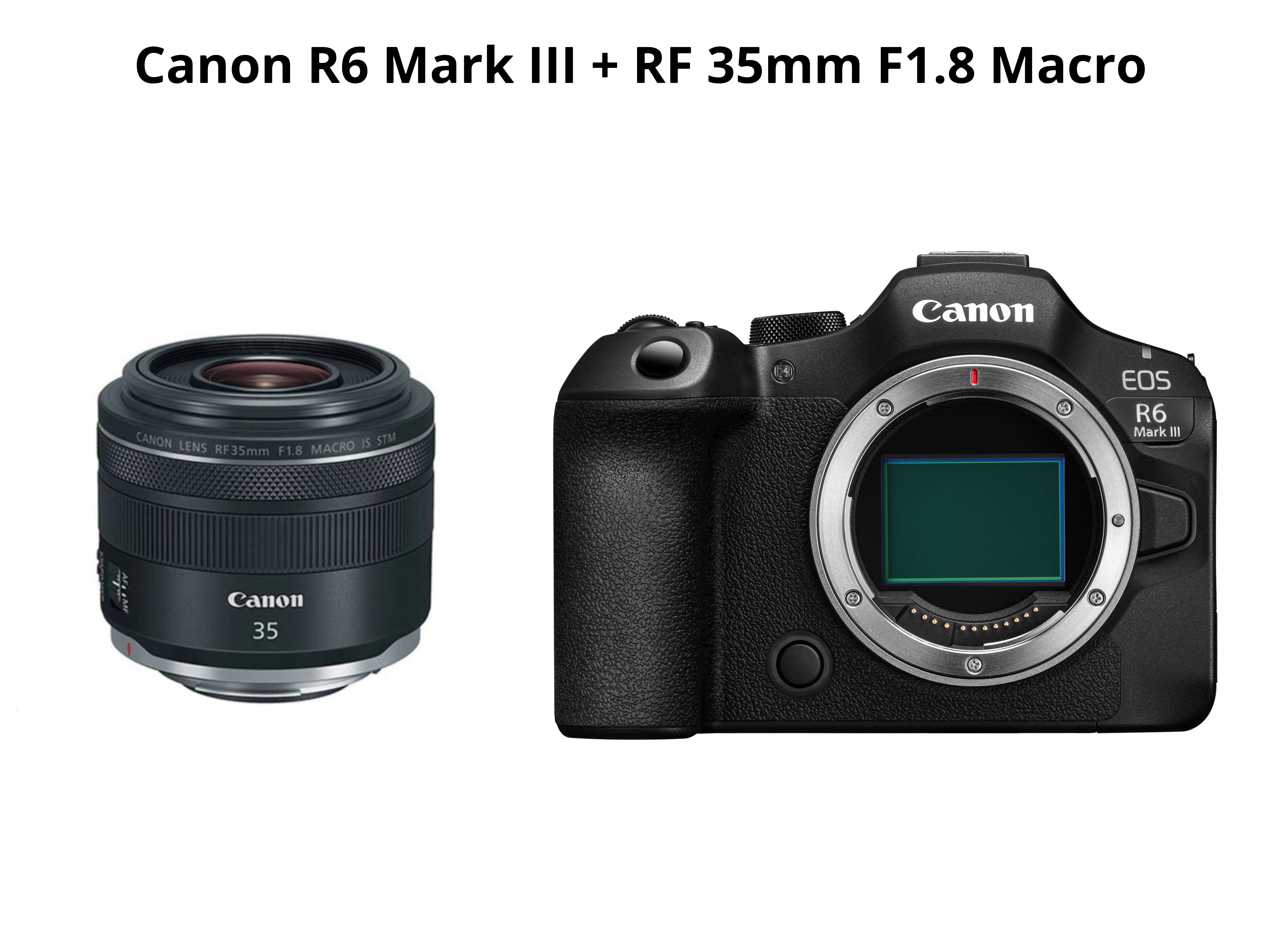 Canon r6 mark iii  + rf 35mm f1.8 macro ( canon eos r6 mark iii - canon r6miii )