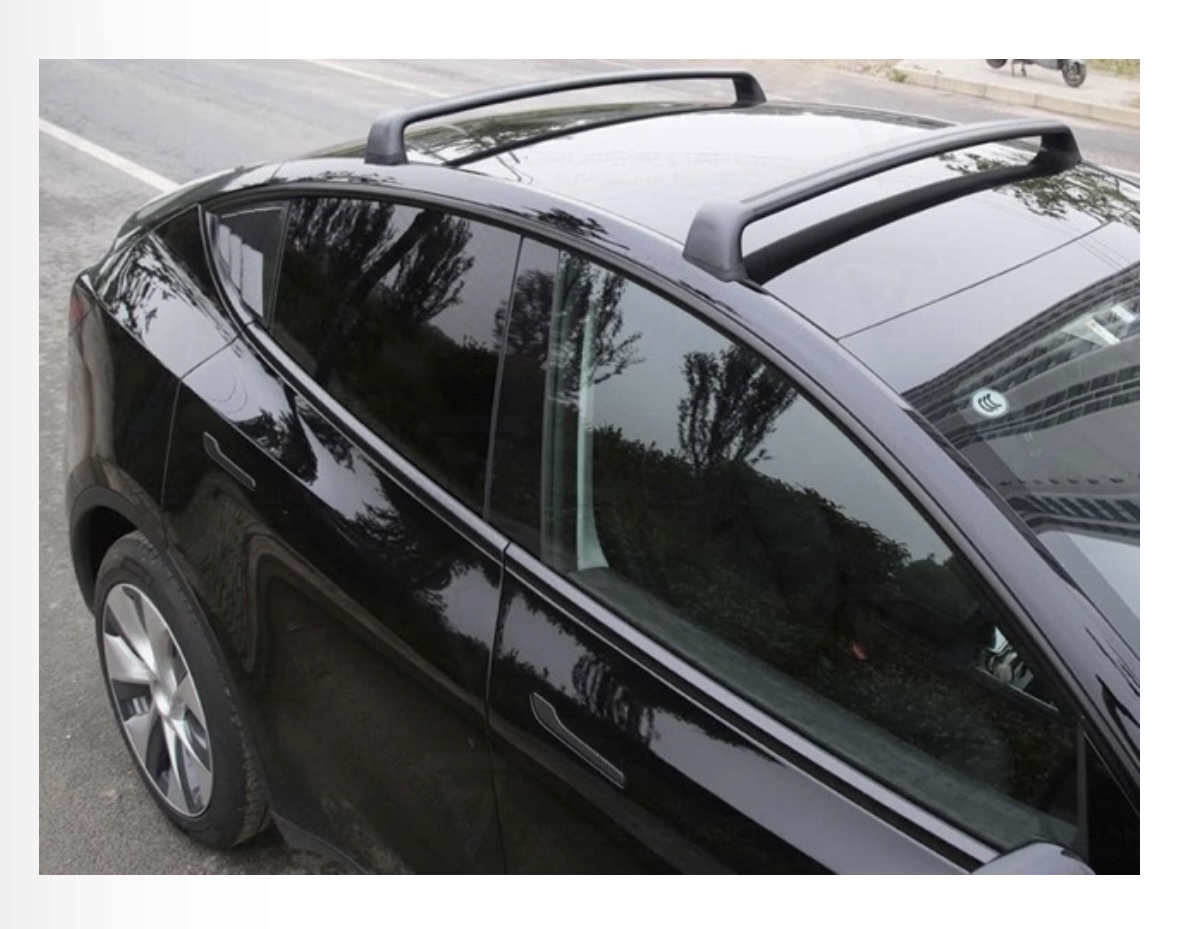 Takstativ til tesla y