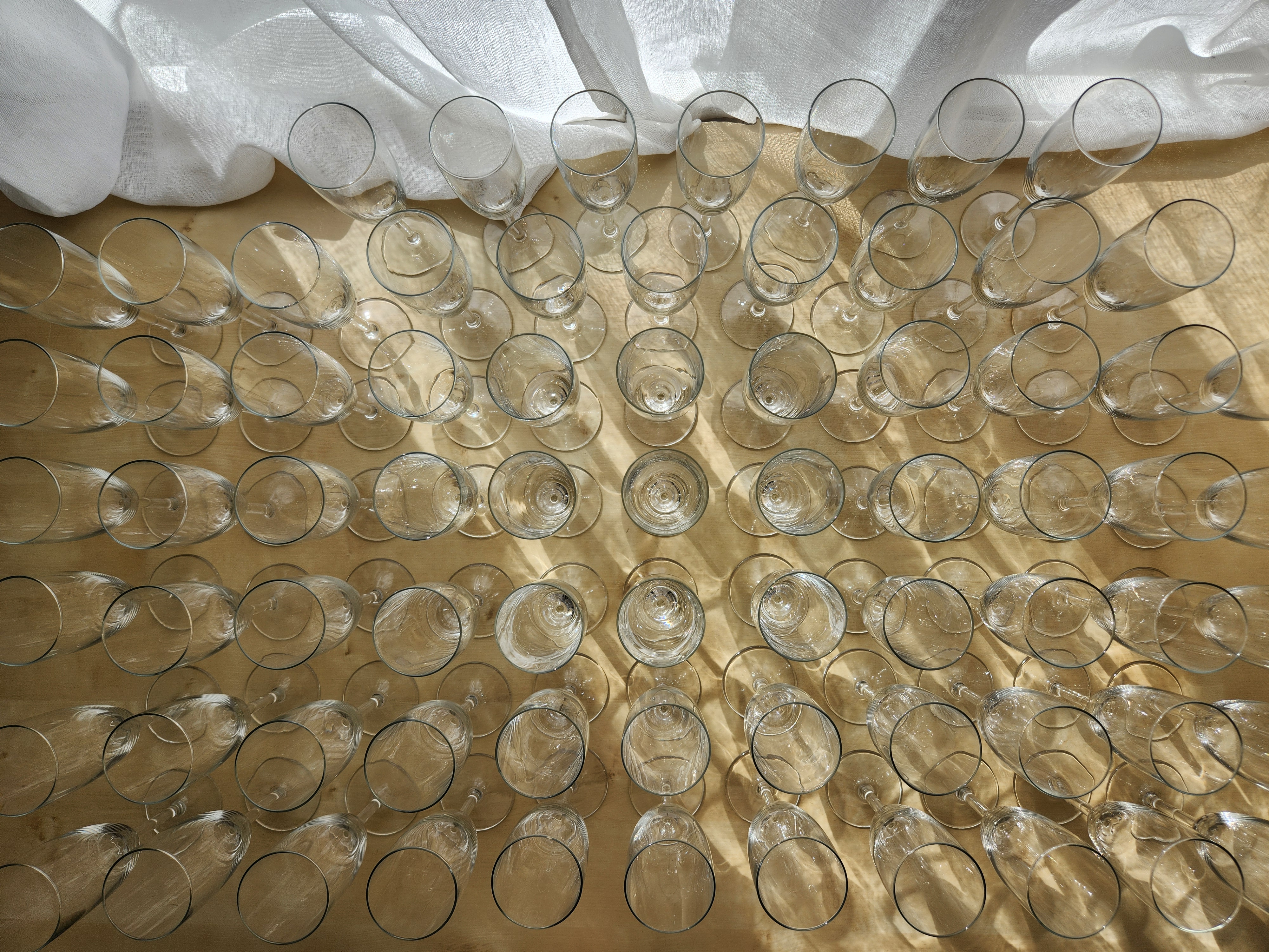 48 champagneglas