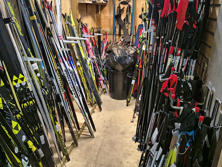 Udlejning af langrendski