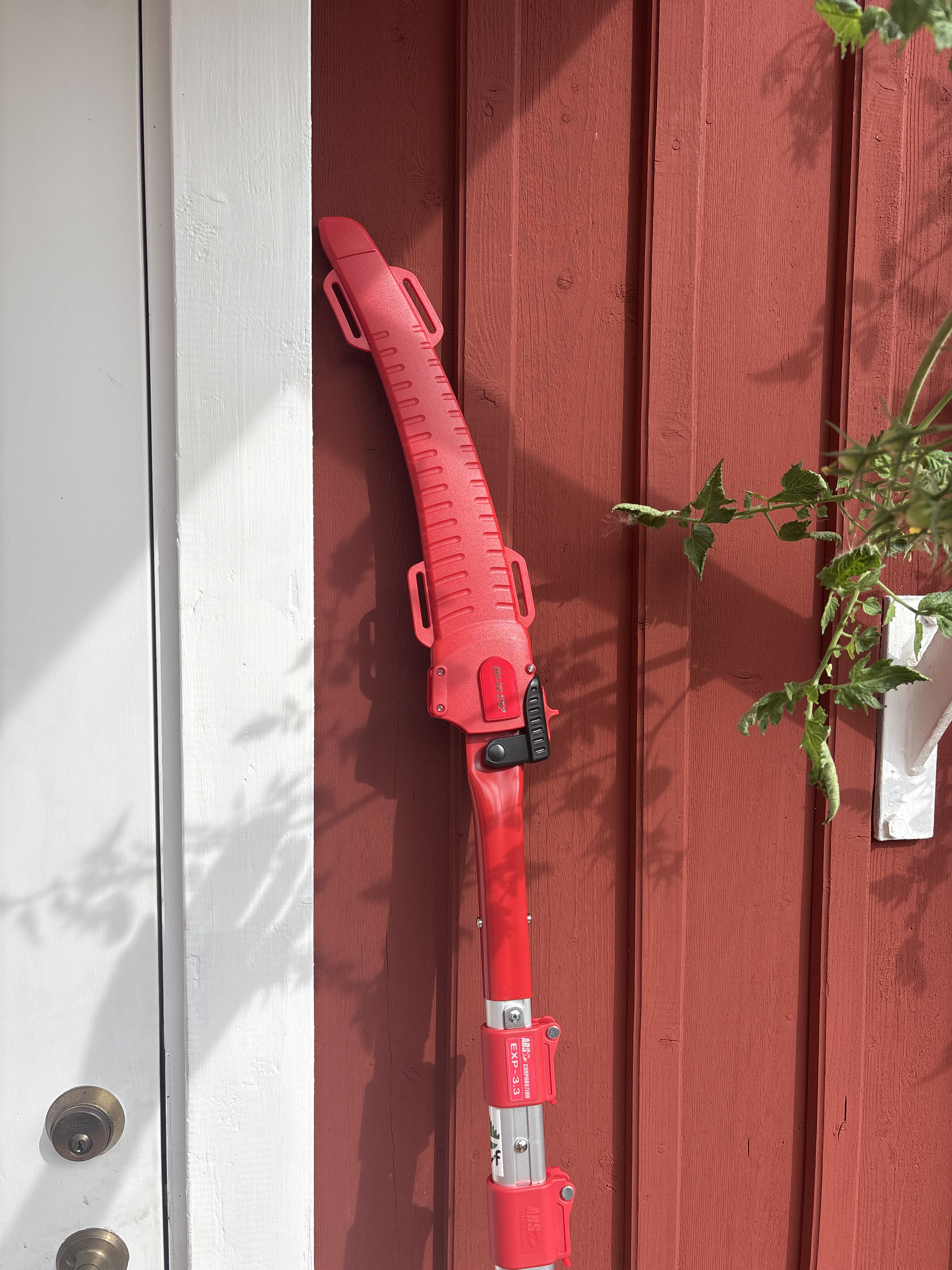 Stångsåg japansk ars