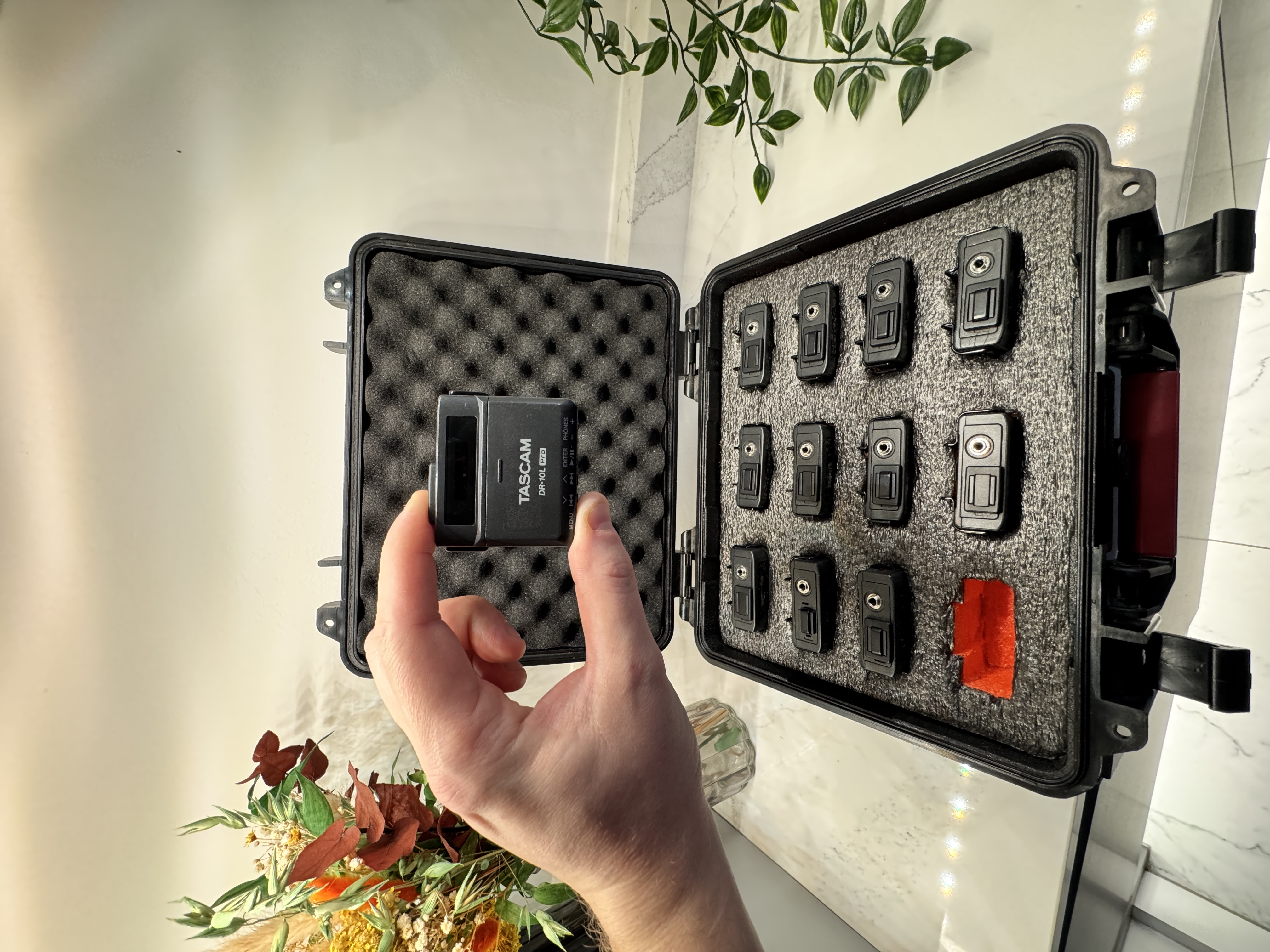 12x tascam dr-10l pro