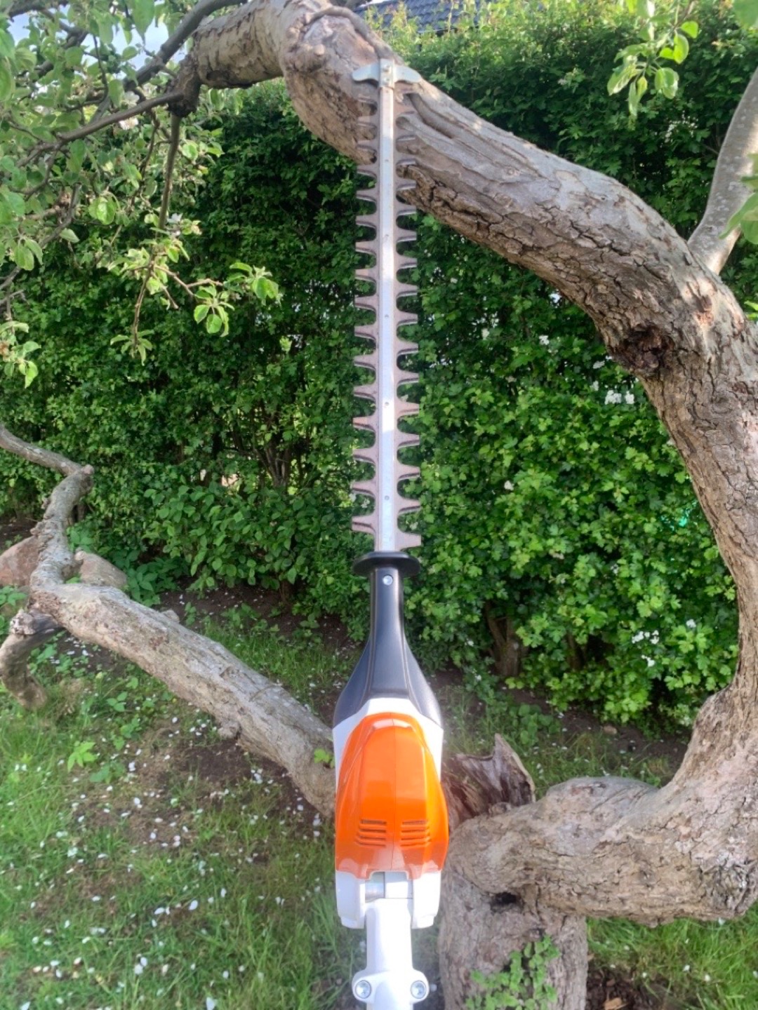 Stihl hla 66 stånghäcksax