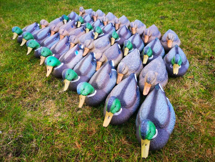 Stokkand decoy lokkefugler bulvan 32 stk