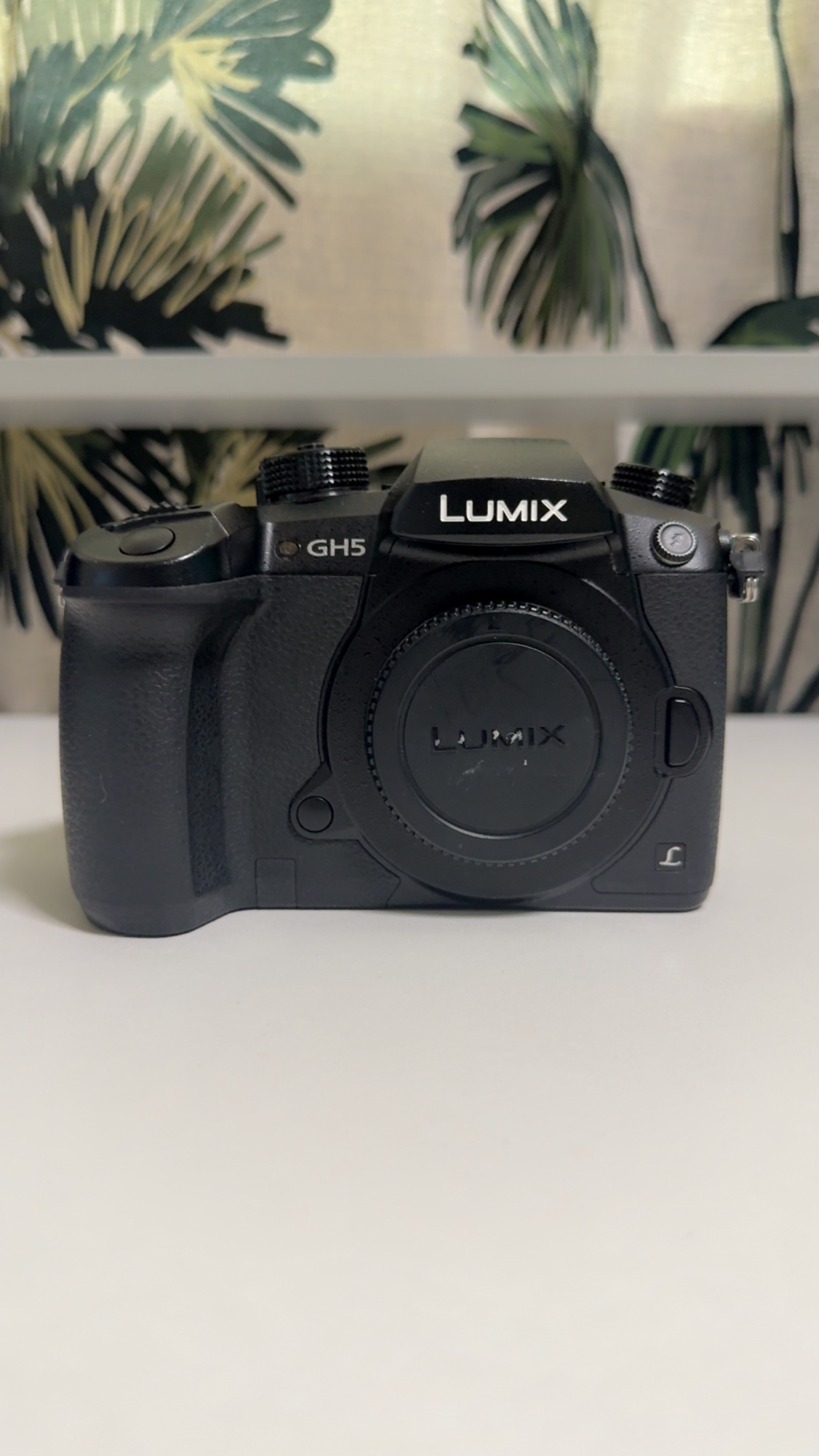 Lumix gh5 (with lens)