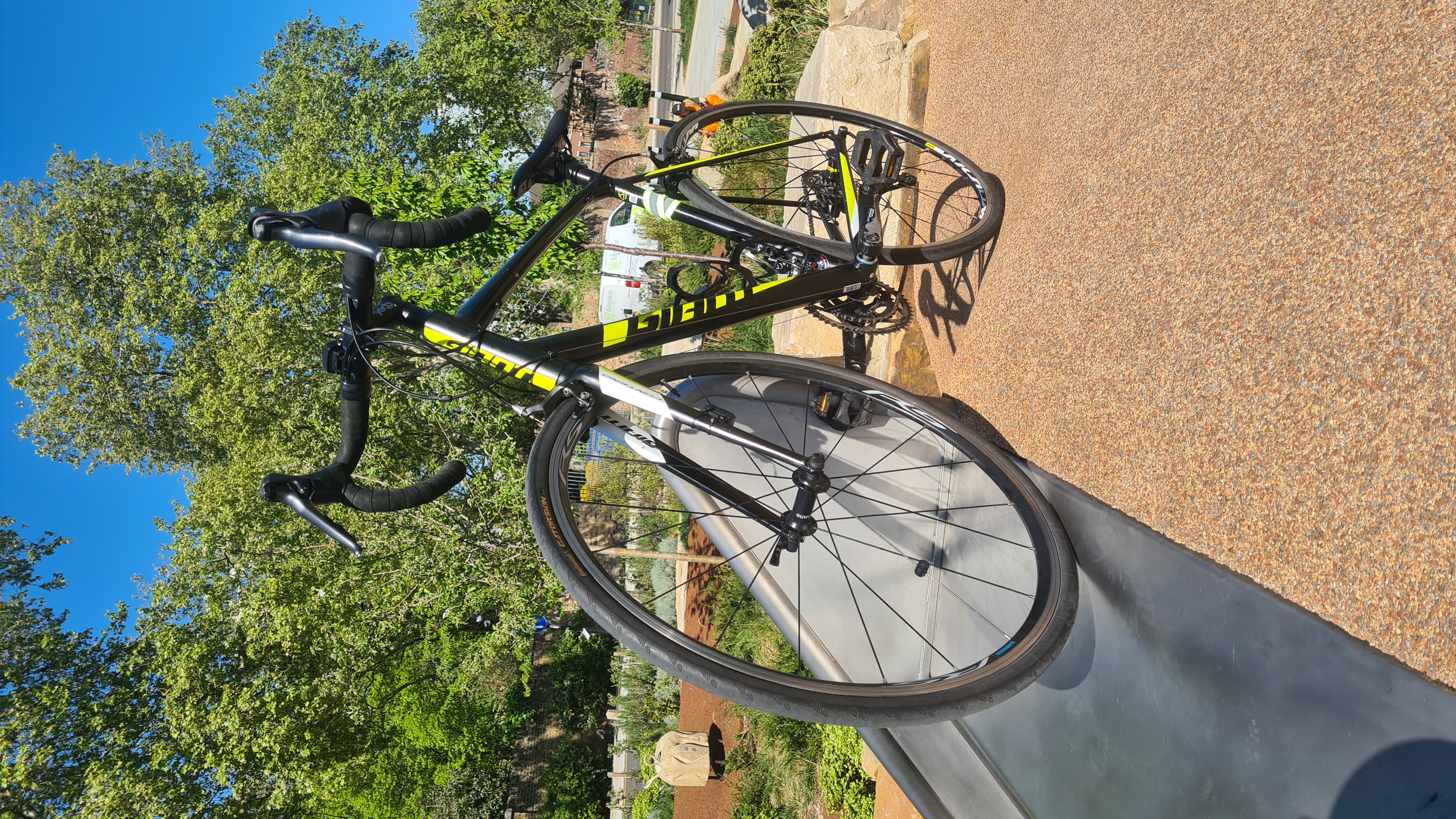 Giant contend 2 – upgraded & recently serviced: mavic wheels, new chain & bb