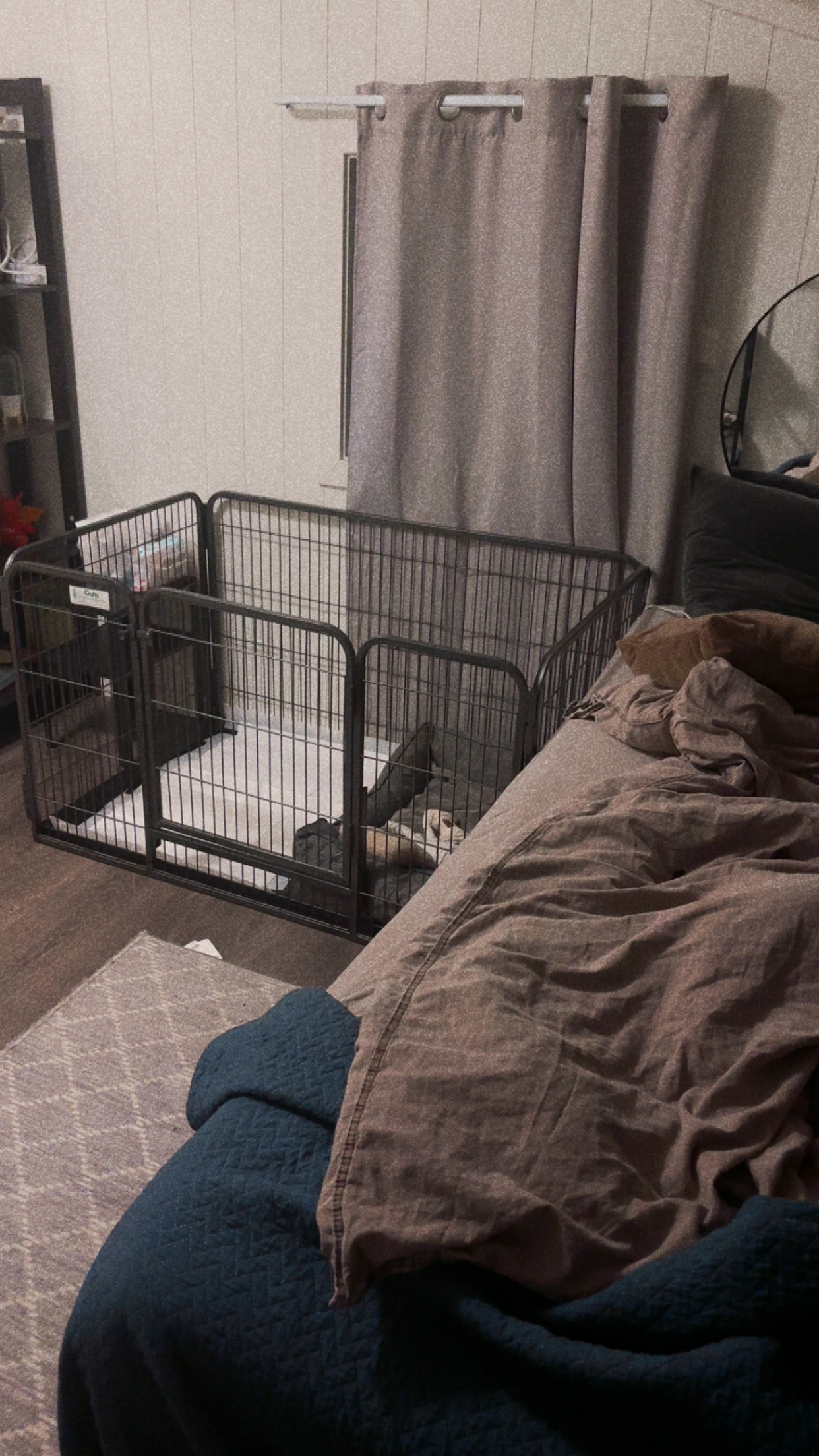 Fleksibel crufts valpebinge – til leie