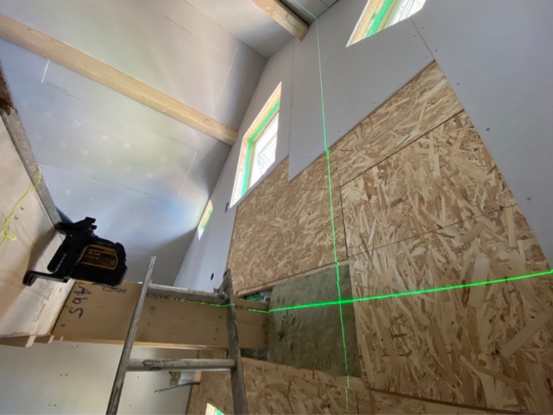 Krysslaser dewalt