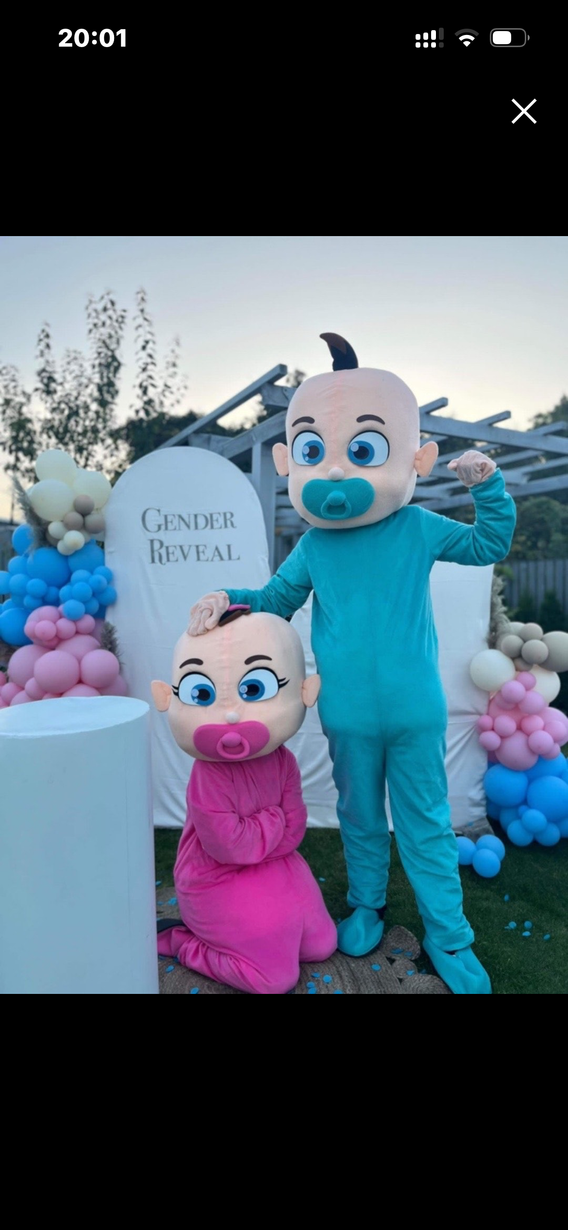 Gender reveal-dräkter – baby boy & baby girl (2 st mascotdräkter)