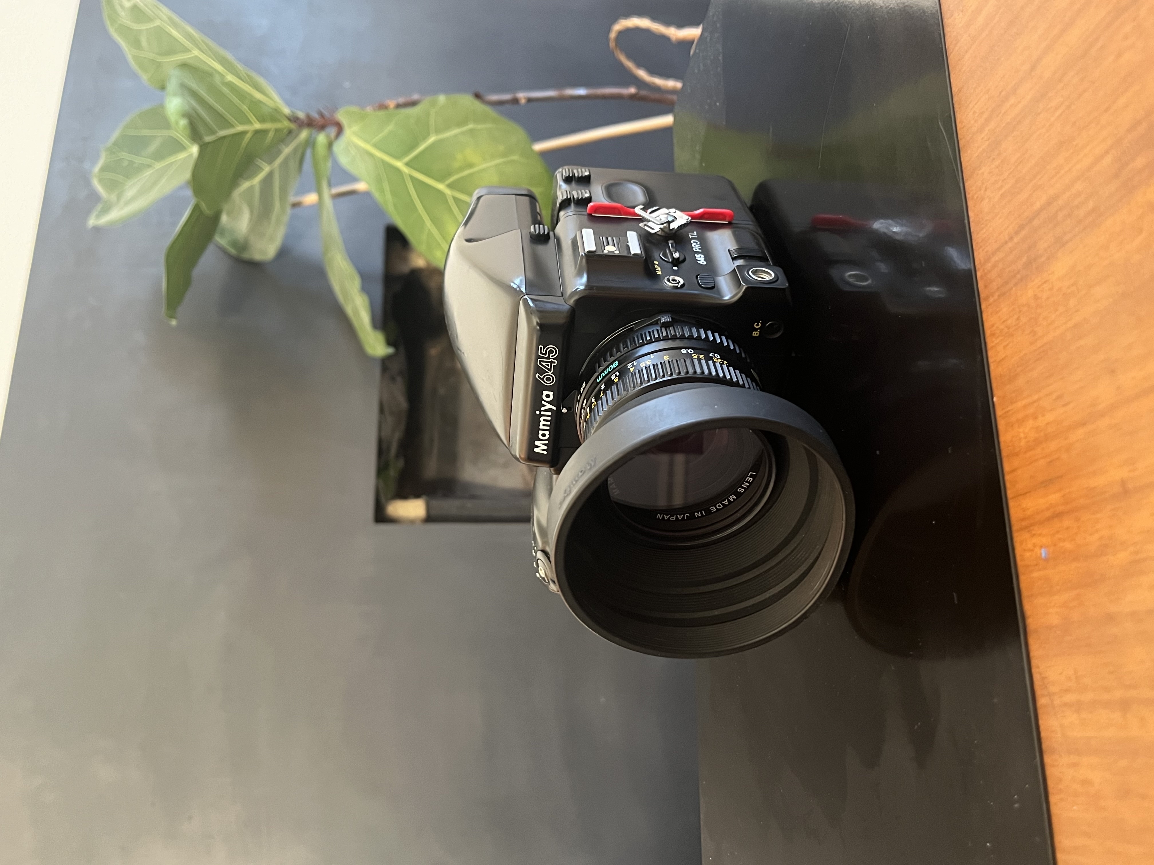 Mamiya 645 pro tl + 80mm 2.8 sekor lens 