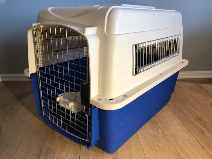 Transportbur for hund