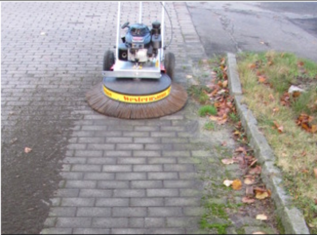 Utleie mosefjerner westerman wr870