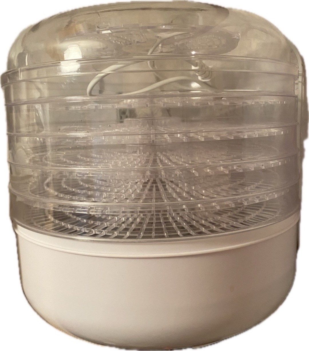 Svamp- och frukttork