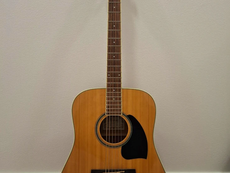 Ibanez acoustic guitar - warm tone & classic style