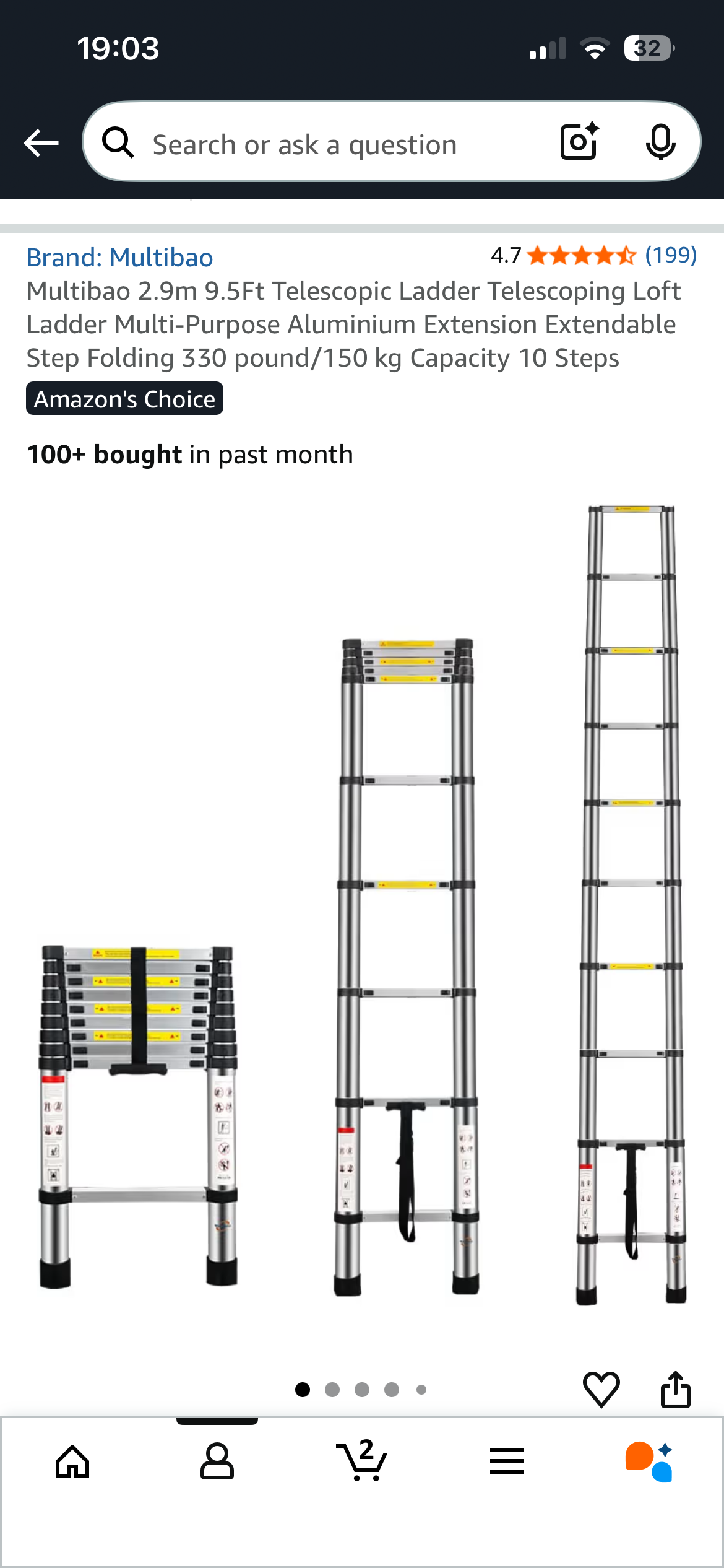 2.9m telescopic ladder