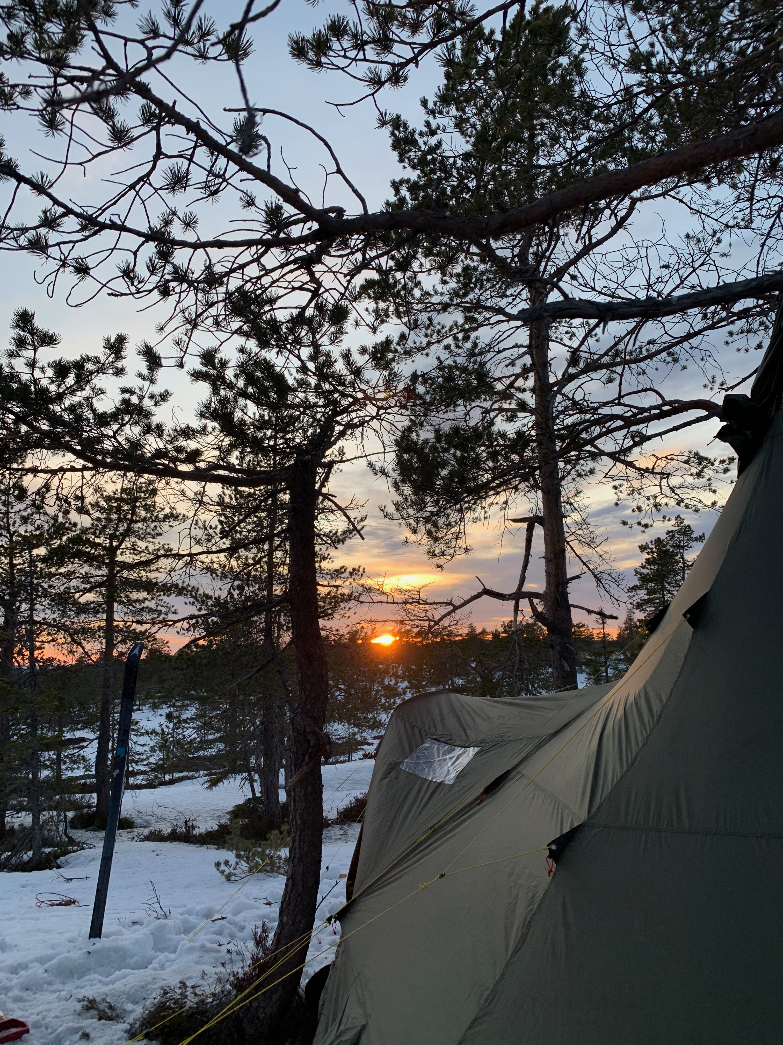 Lavvo med ovn og utstyr, leies ut for opplevelser ved femundsmarka og femunden🌲