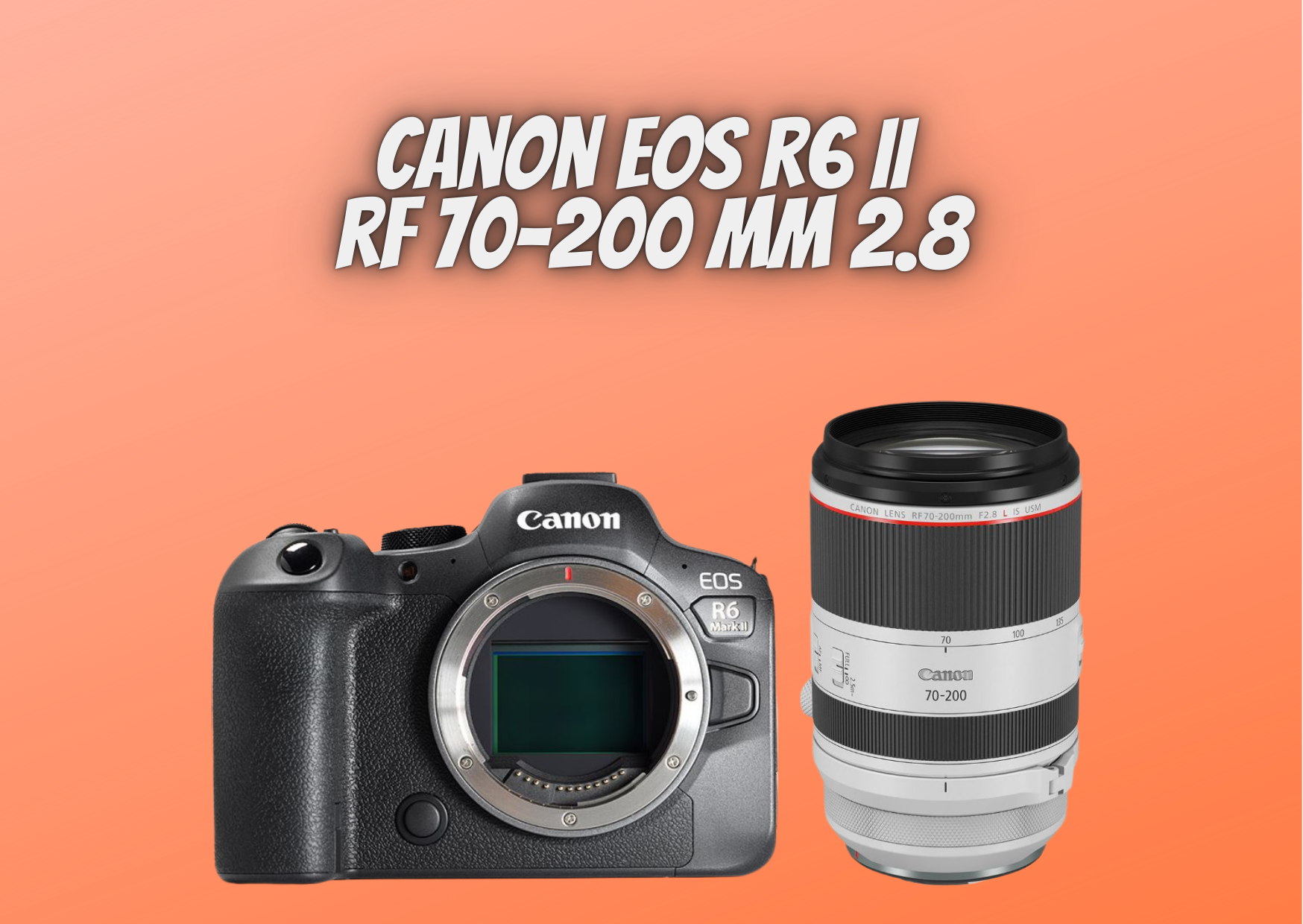 Canon r6 ii + rf 70-200mm 2.8