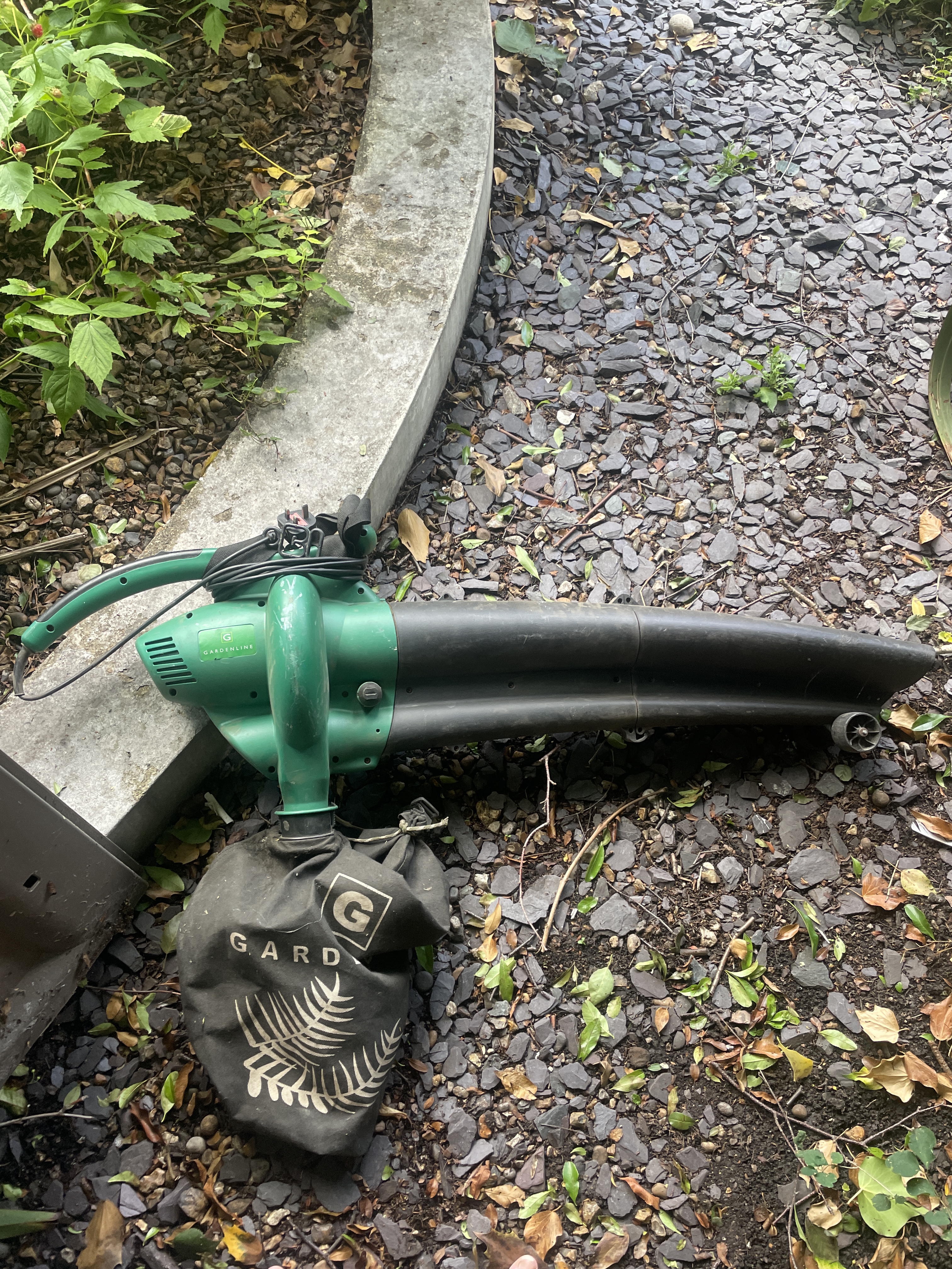 Leaf blower and collector