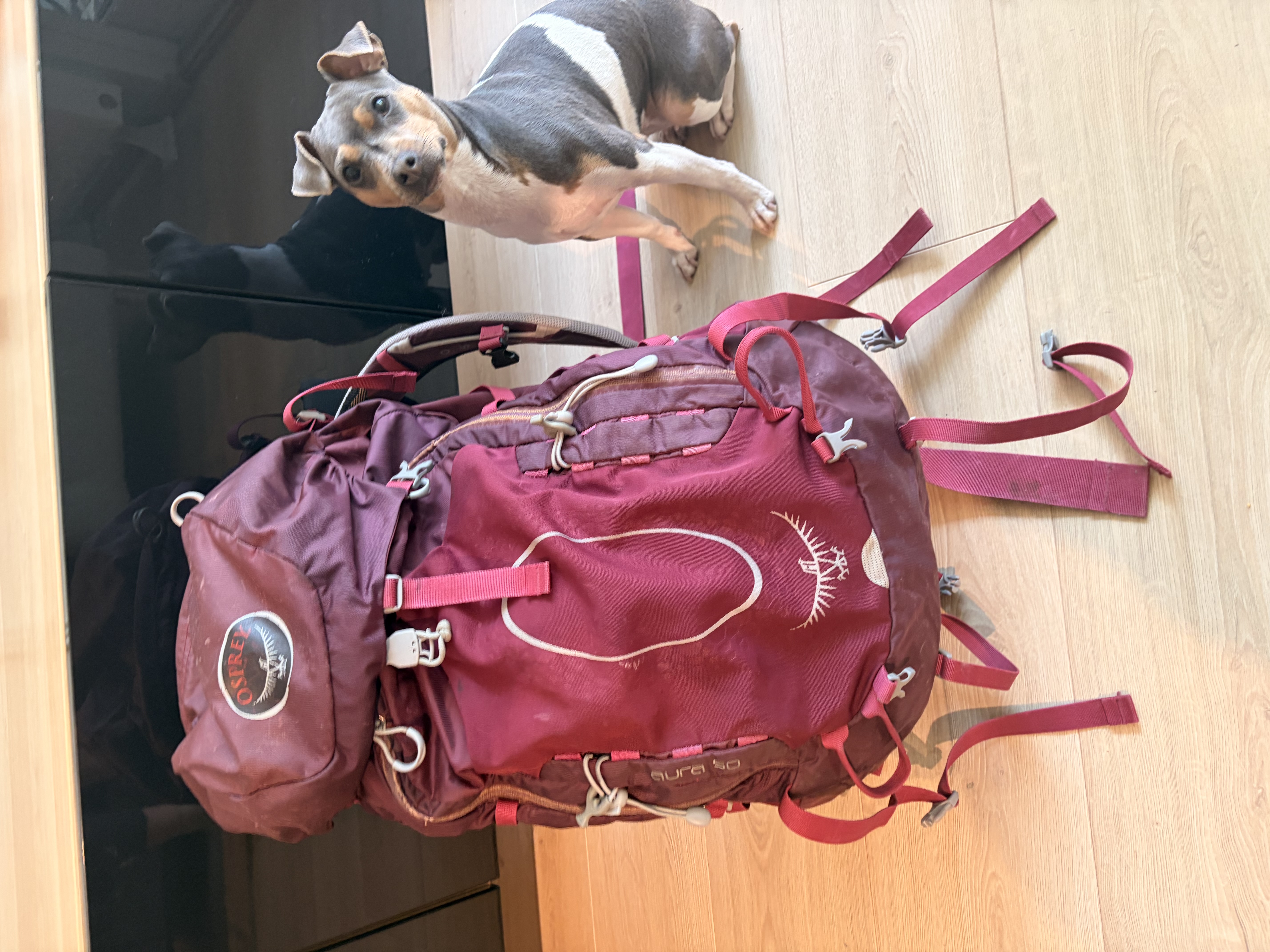 Ospray 50l tursekk