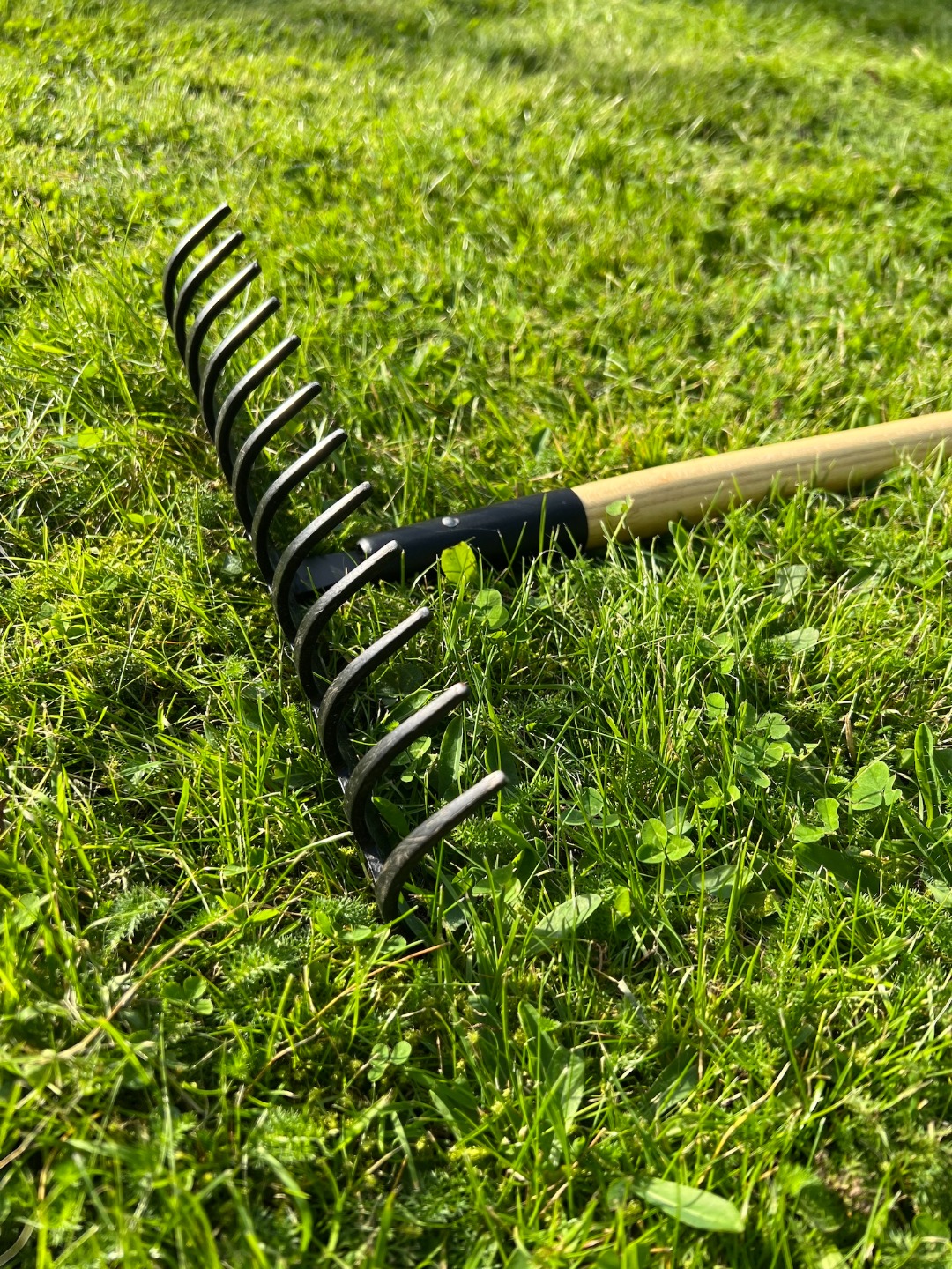 Trädgårdskratta (bred kratta)