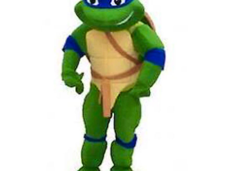 Ninja turtle leonardo tmnt teenage mutant