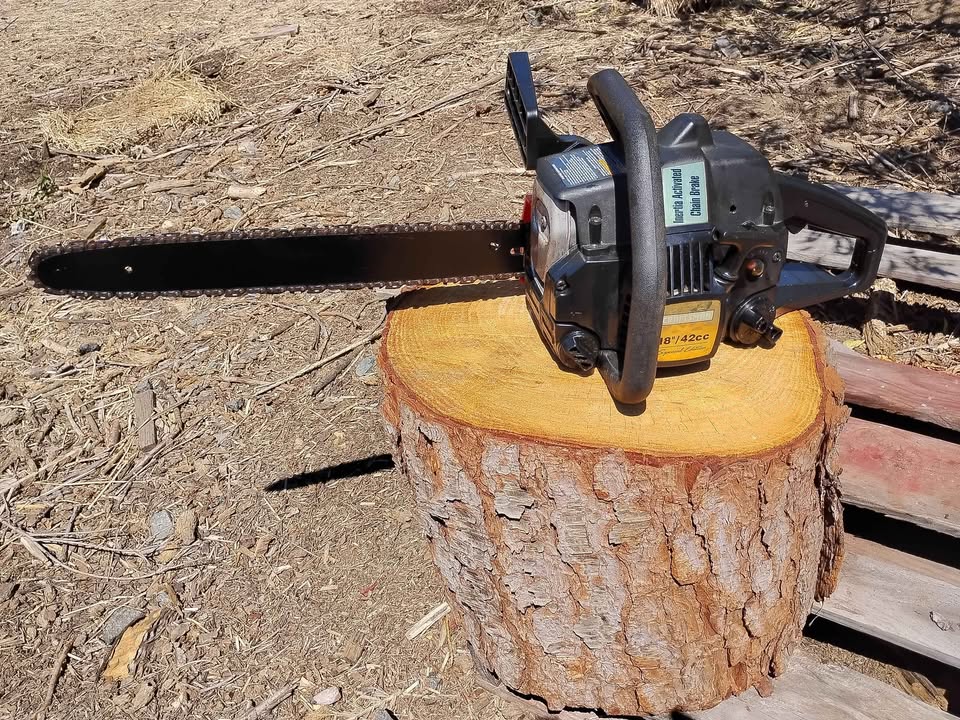 18 in chainsaw / chain saw