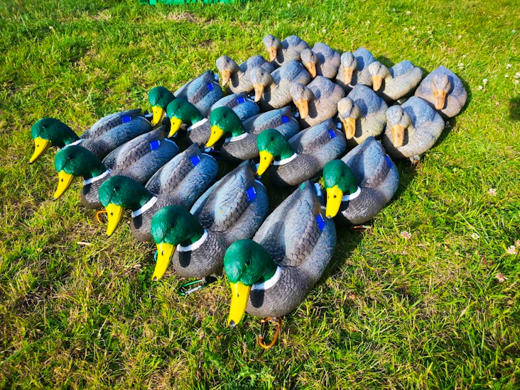 Stokkand decoy lokkefugler 12 stk