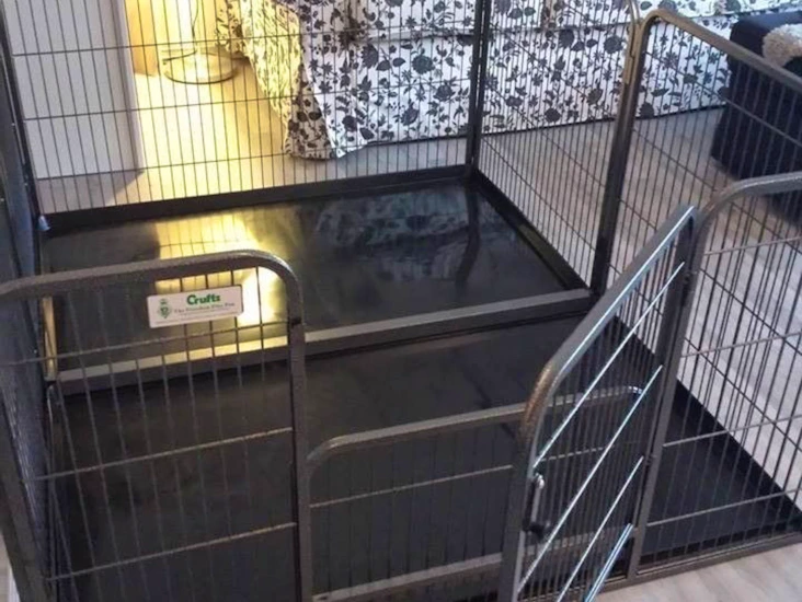 Crufts dobbel valpegrind