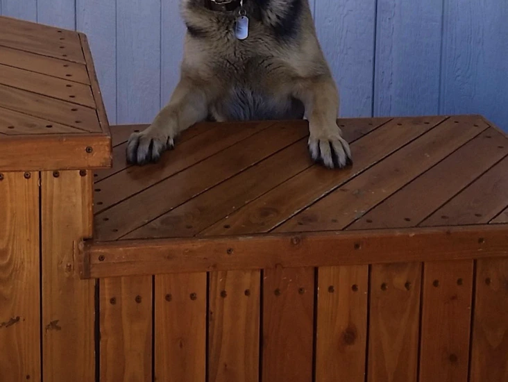 Perception sit on top kayak