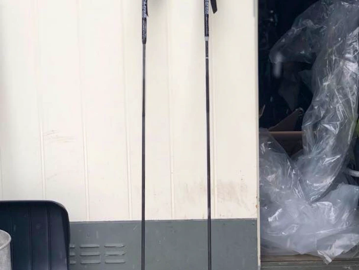 Stavar med lavinsond