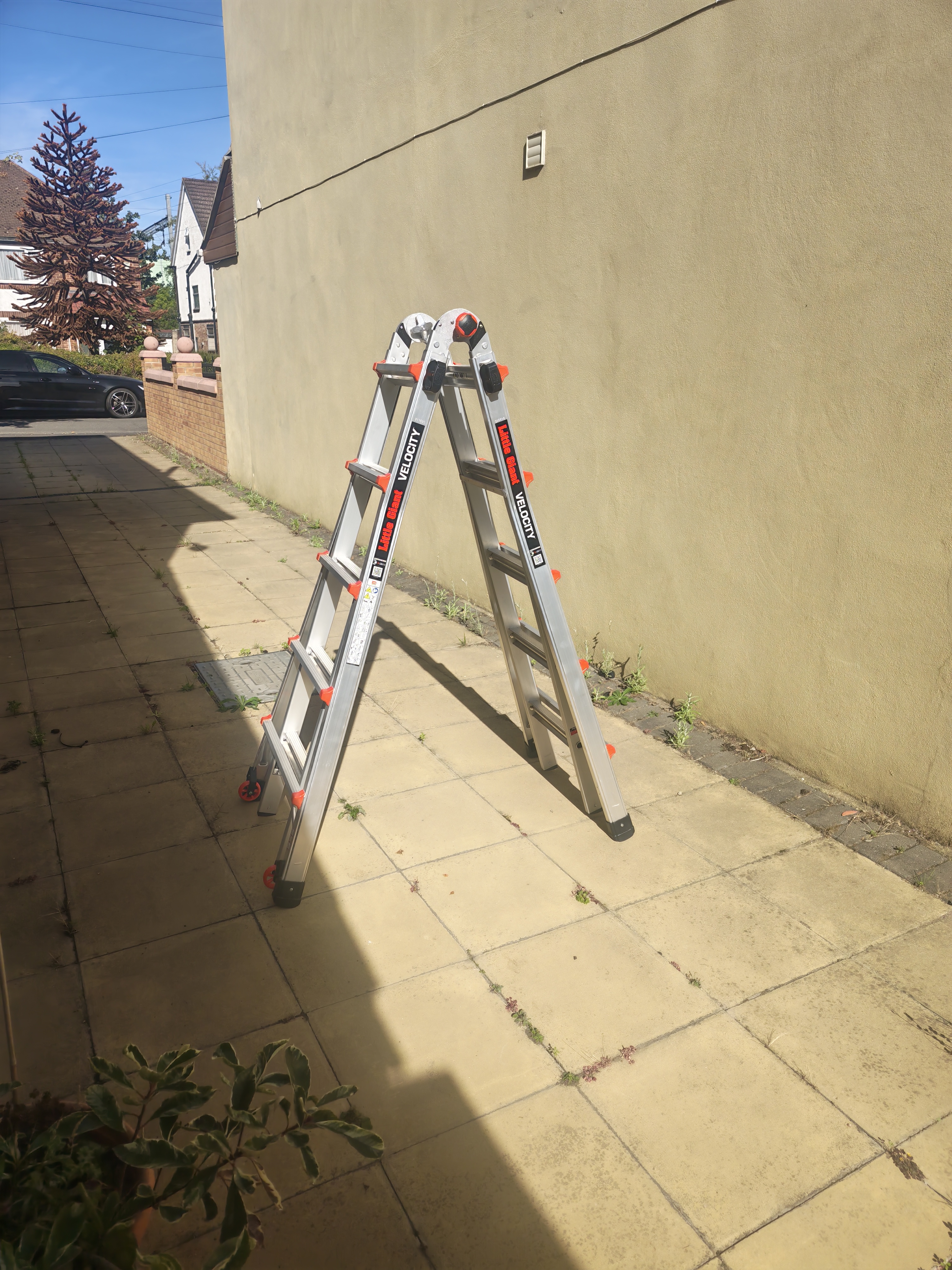 Little giant ladder