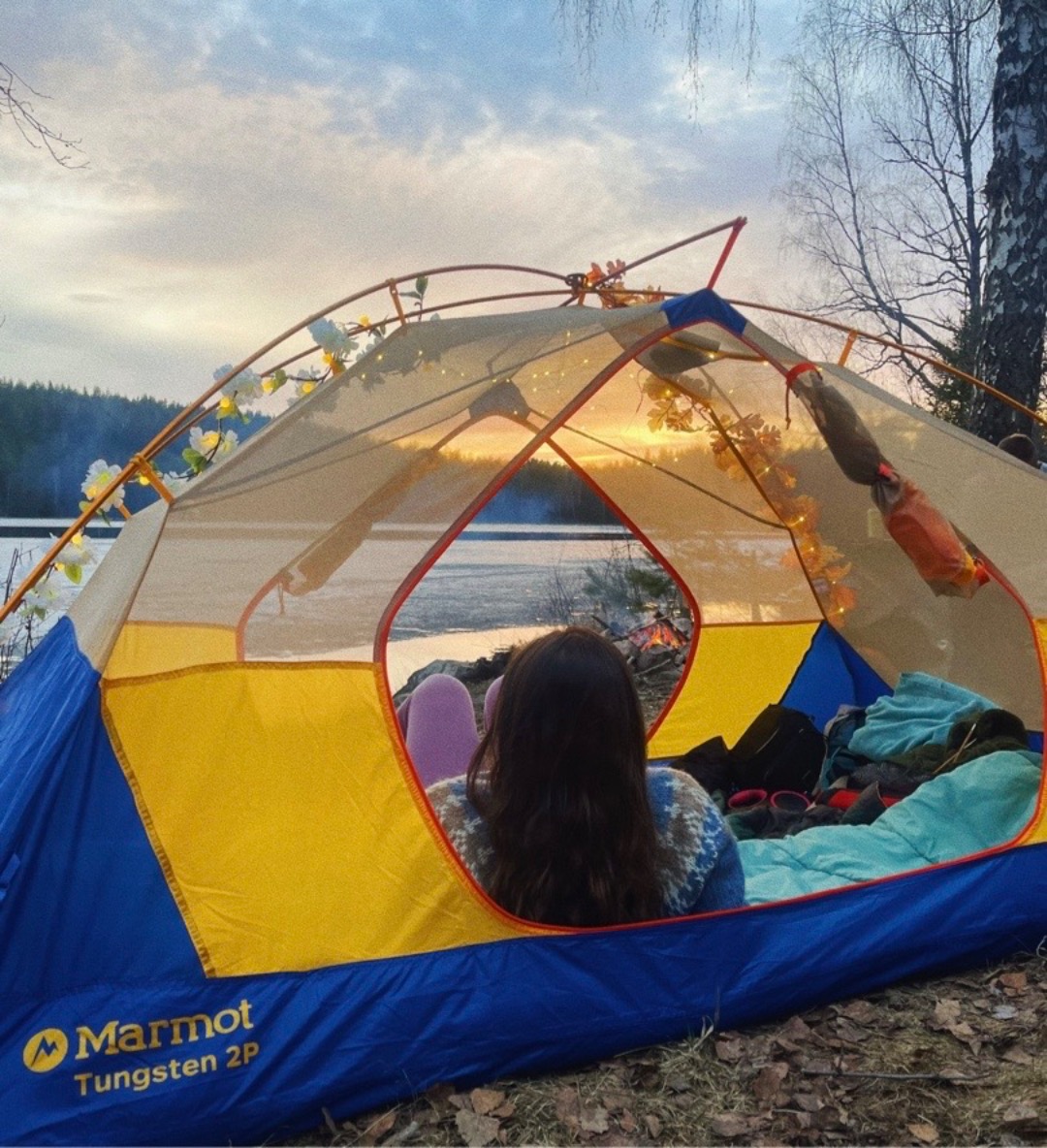 Tomannstelt marmot 2p