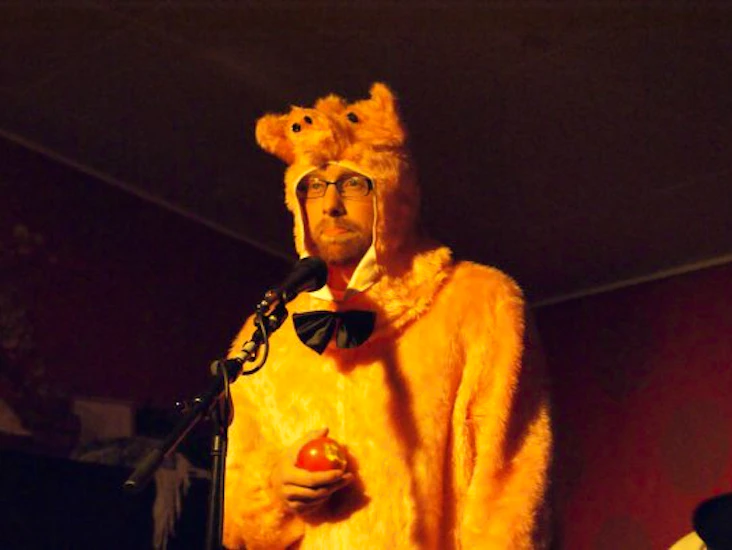 Pig costume / grisdräkt