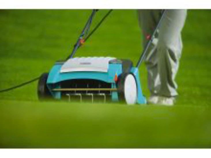 Vertikalskjærer/mosefjerner