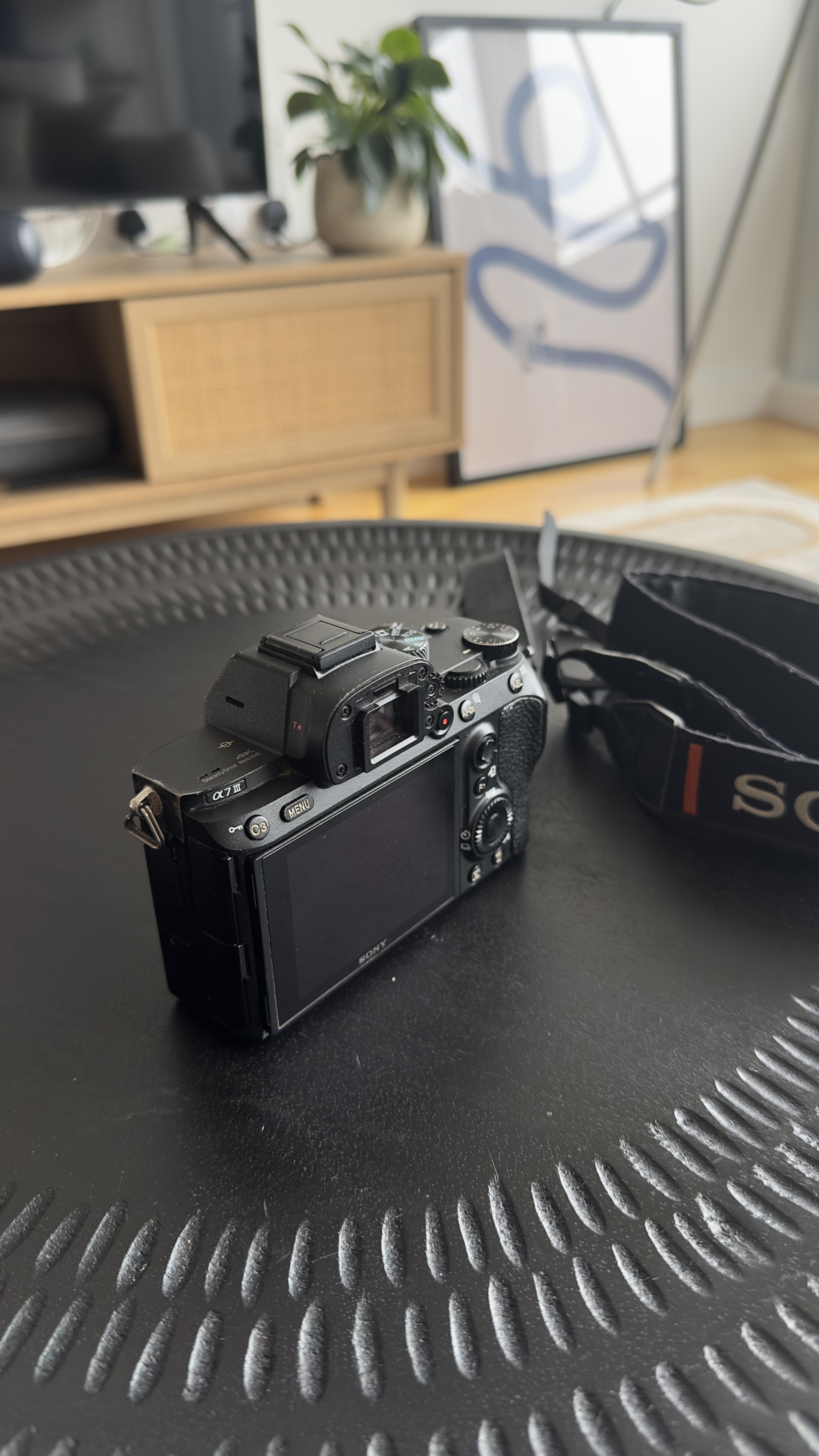 Sony a7 iii with sigma 35mm f1.4